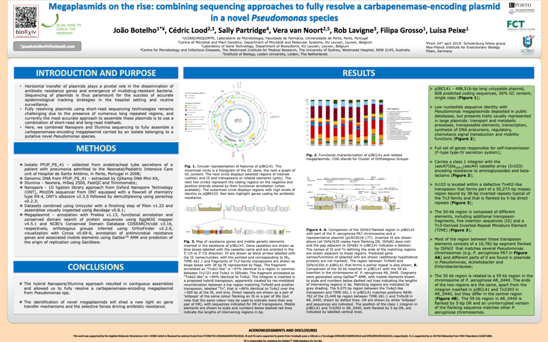 Poster – Megaplasmids on the rise: combining sequencing approaches to fully resolve a carbapenemase – encoding plasmid in a novel Pseudomonas species