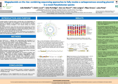 Poster – Megaplasmids on the rise: combining sequencing approaches to fully resolve a carbapenemase – encoding plasmid in a novel Pseudomonas species