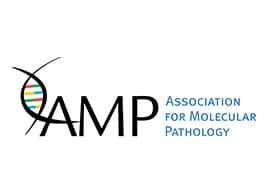 Conference Amp 2020